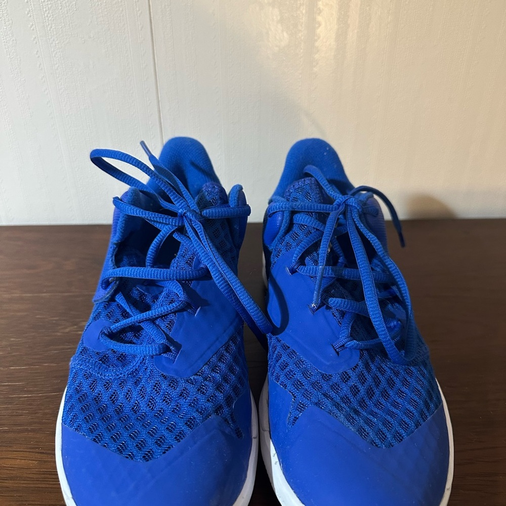 Nike Zoom Blue Sneakers